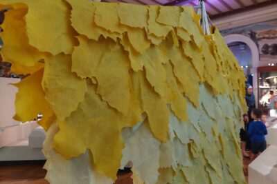 Agrandir l'image 4 sur 9, fenêtre modale