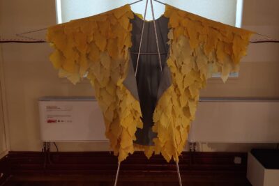 Agrandir l'image 3 sur 9, fenêtre modale