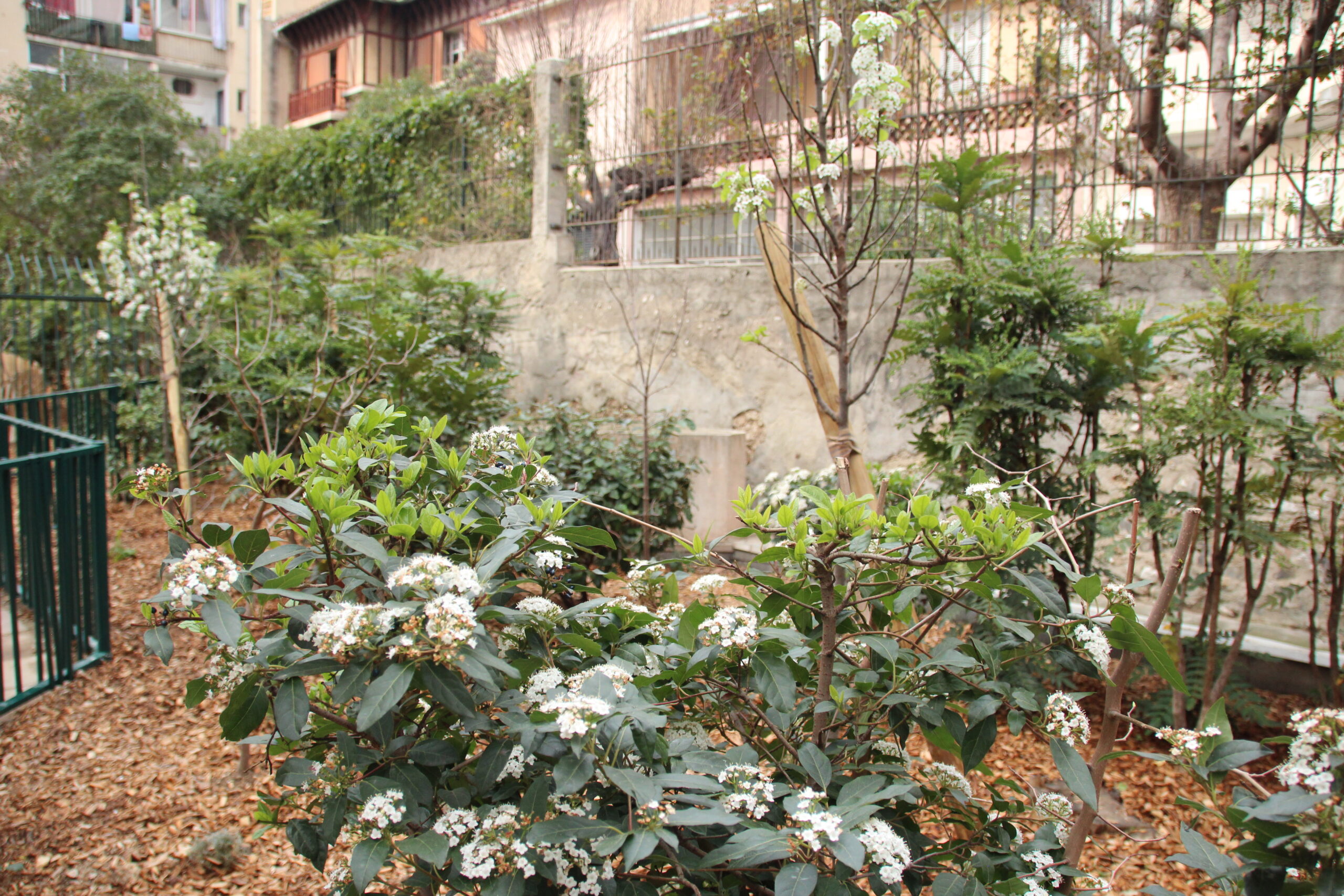 Le Compost au jardin - Mairie de Marseille 6e et 8e arrondissements