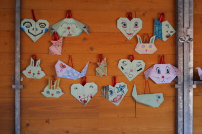 Agrandir l'image 12 sur 15, fenêtre modale