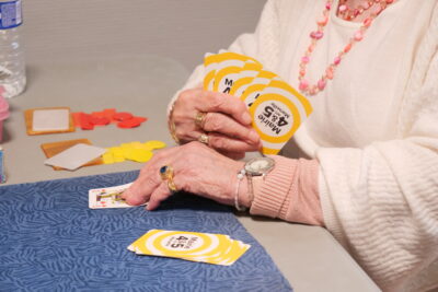 Agrandir l'image 15 sur 19, fenêtre modale