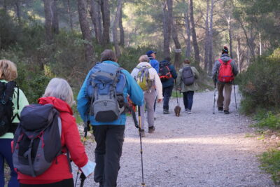 Agrandir l'image 6 sur 22, fenêtre modale