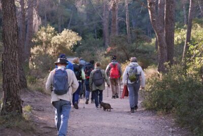 Agrandir l'image 7 sur 22, fenêtre modale