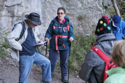 Agrandir l'image 11 sur 22, fenêtre modale