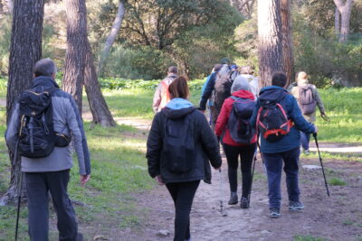 Agrandir l'image 15 sur 22, fenêtre modale