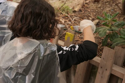 Agrandir l'image 3 sur 6, fenêtre modale