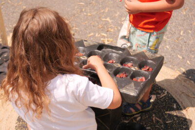 Agrandir l'image 44 sur 45, fenêtre modale