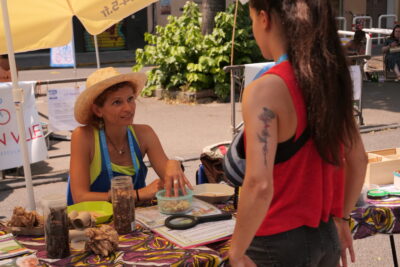 Agrandir l'image 40 sur 45, fenêtre modale