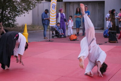 Agrandir l'image 6 sur 36, fenêtre modale