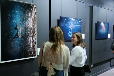 Agrandir l'image 15 sur 83, fenêtre modale