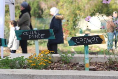 Agrandir l'image 2 sur 3, fenêtre modale