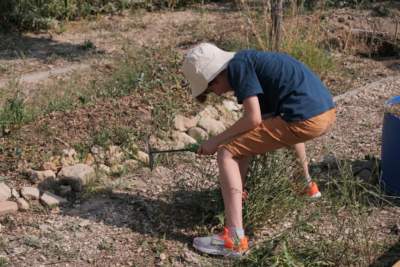 Agrandir l'image 3 sur 3, fenêtre modale
