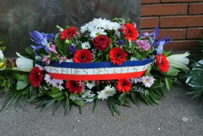 Agrandir l'image 12 sur 12, fenêtre modale