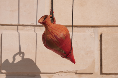 Agrandir l'image 3 sur 6, fenêtre modale