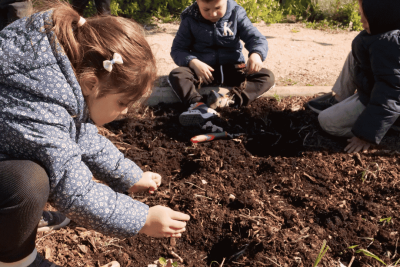 Agrandir l'image 3 sur 3, fenêtre modale