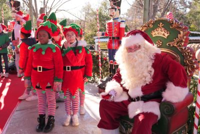 Agrandir l'image 25 sur 50, fenêtre modale