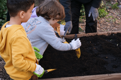 Agrandir l'image 11 sur 12, fenêtre modale