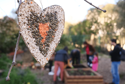 Agrandir l'image 3 sur 12, fenêtre modale