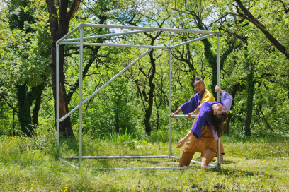 Agrandir l'image, fenêtre modale