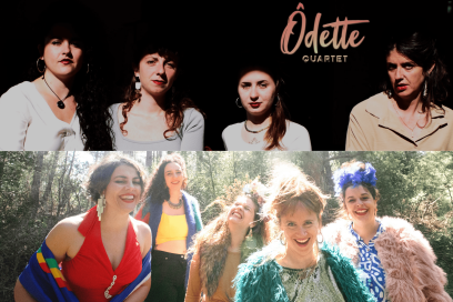 Agrandir l'image, fenêtre modale