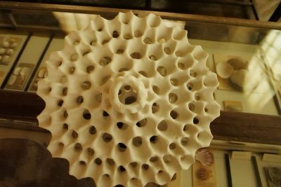 Agrandir l'image 14 sur 27, fenêtre modale