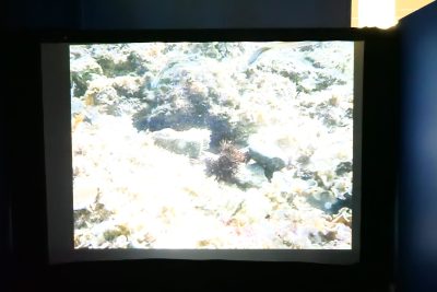 Agrandir l'image 27 sur 27, fenêtre modale