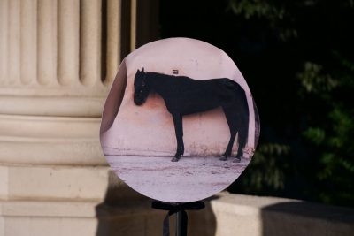 Agrandir l'image 25 sur 27, fenêtre modale