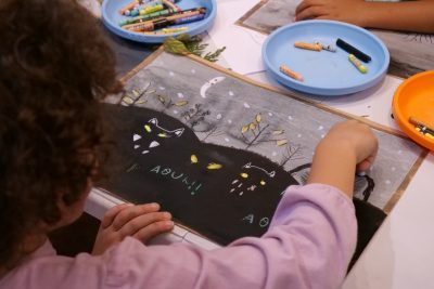 Agrandir l'image 10 sur 36, fenêtre modale