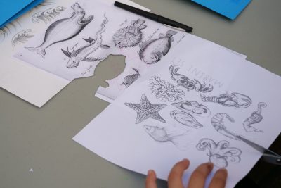 Agrandir l'image 30 sur 36, fenêtre modale