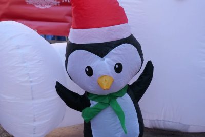 Agrandir l'image 22 sur 60, fenêtre modale