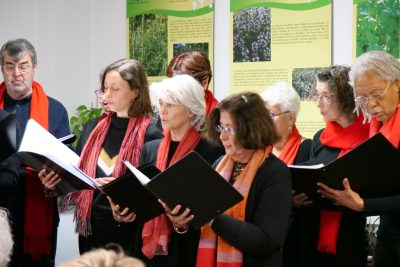 Agrandir l'image 10 sur 60, fenêtre modale