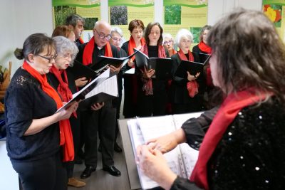 Agrandir l'image 37 sur 60, fenêtre modale