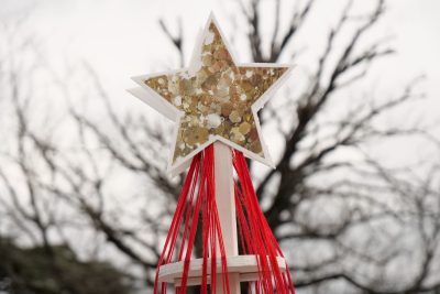 Agrandir l'image 19 sur 60, fenêtre modale