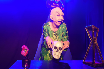 Agrandir l'image, fenêtre modale