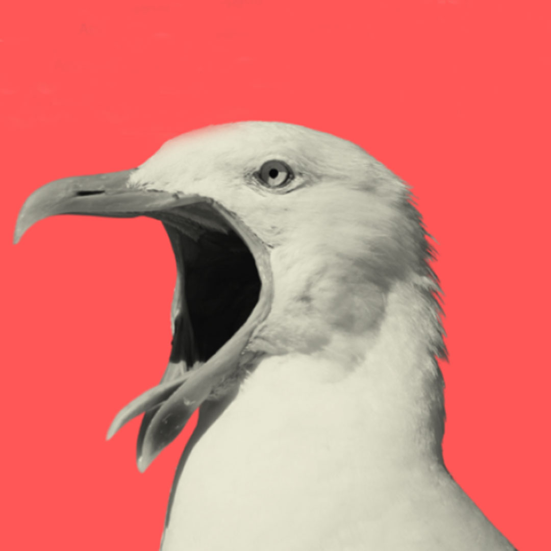 Sincopada - scène ouverte à hypérion - Culture debout 2026